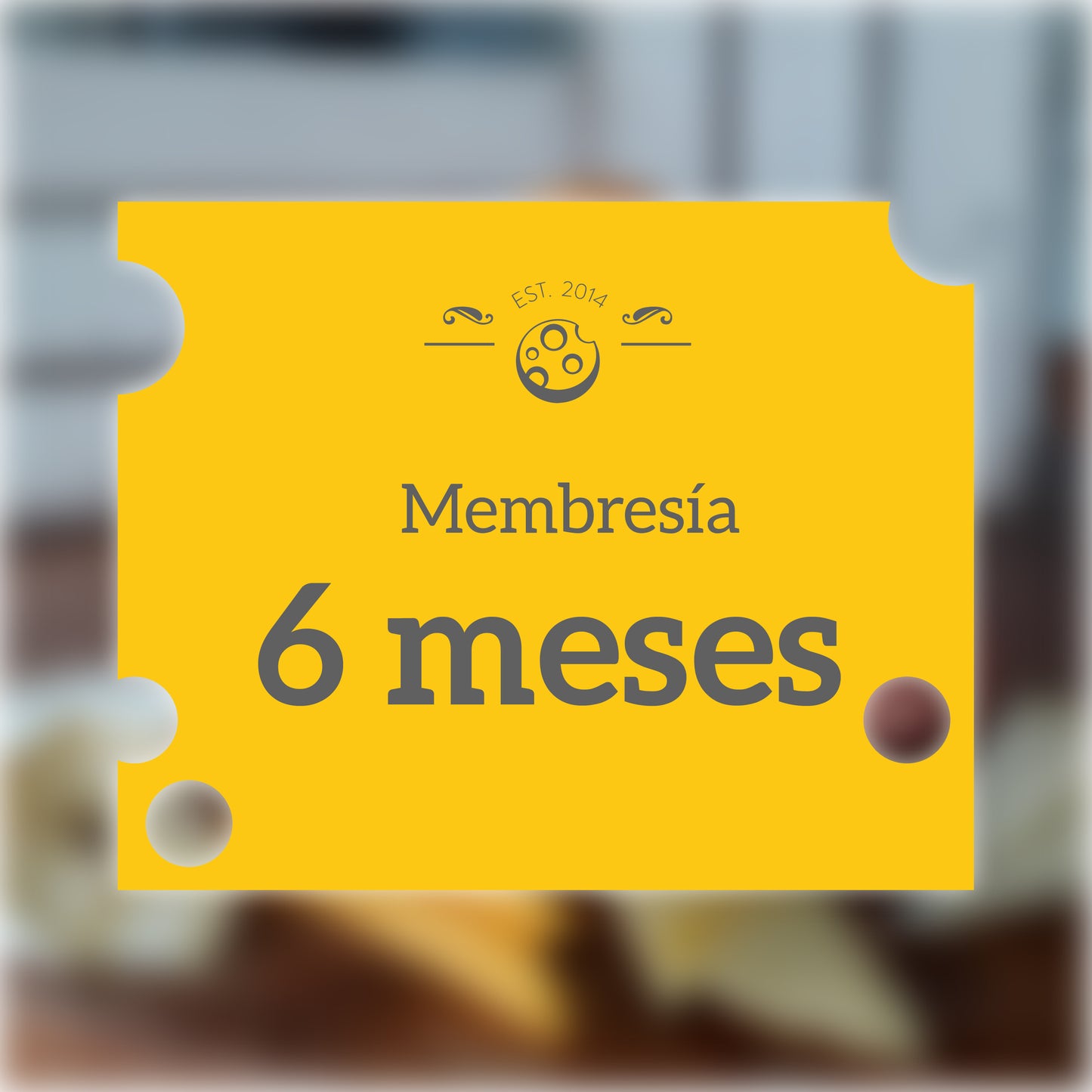 Membresía 6 meses